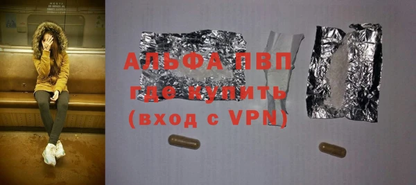 a pvp Бородино