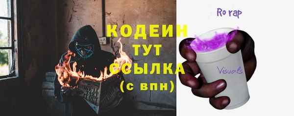 a pvp Бородино