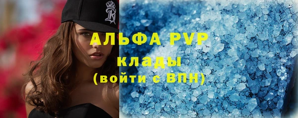 a pvp Бородино