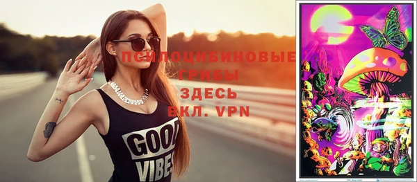 a pvp Бородино