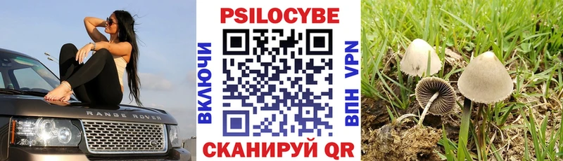 цена наркотик  дарк нет как зайти  Галлюциногенные грибы Psilocybe  Нарьян-Мар 