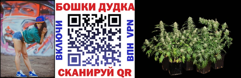 где найти   Нарьян-Мар  сайты даркнета состав  Шишки марихуана марихуана 